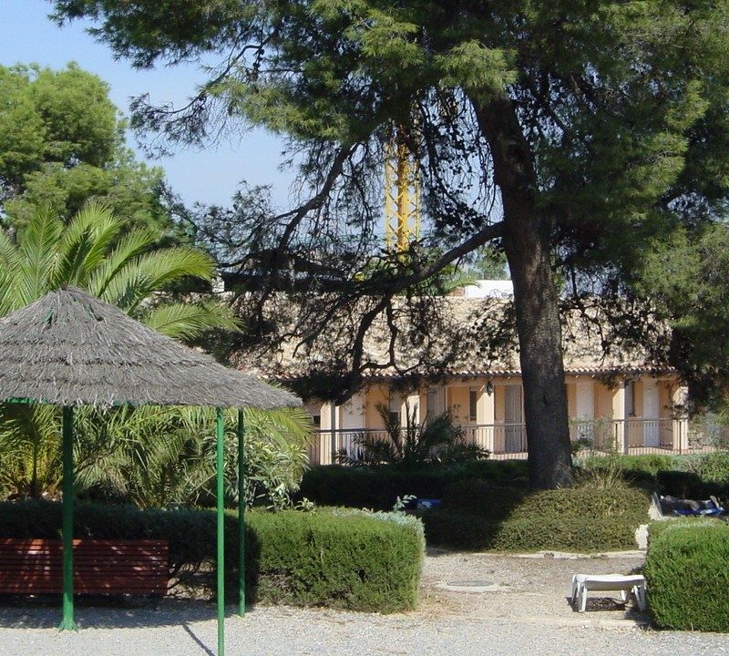 La recuperación en salud mental